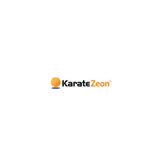 INSECTICIDA KARATE ZEON