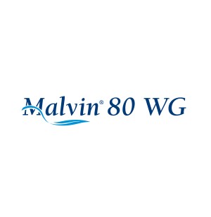 MALVIN 80 WG