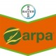 ZARPA SC