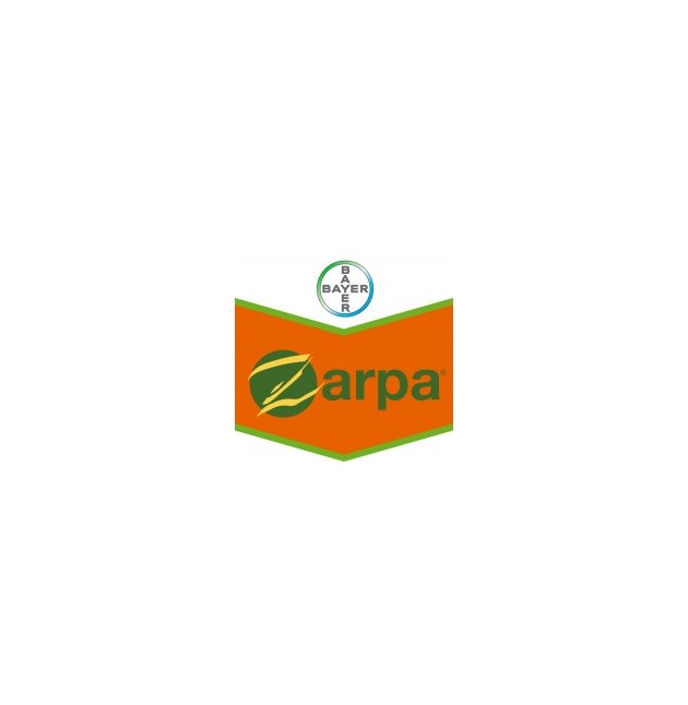 ZARPA SC ZARPA SC
