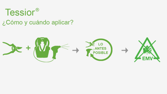 Tessior. Aplicado